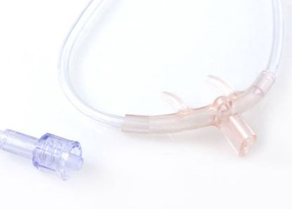 Nasal Cannula Adult No Tube x 1