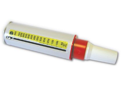 Peak Flow Meter Mini Wrights Standard Range