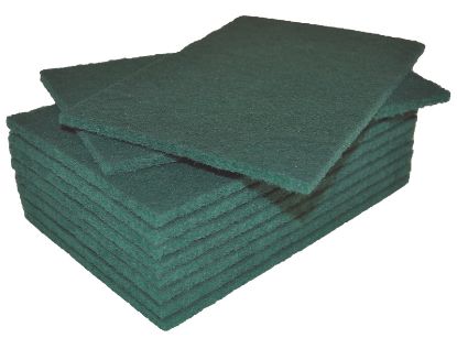 Scouring Pads (Green) X10 (Green Hands)