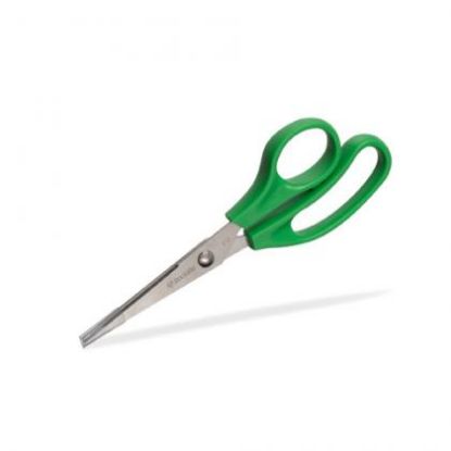 Sterile Scissors (Rocialle)