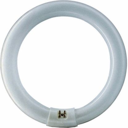 Bulb Fluorescent 22W Circular Cool White Model Fc22cw (T9)