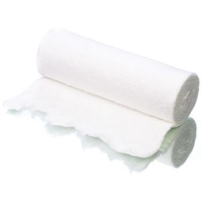 Cotton Wool Roll 100gm