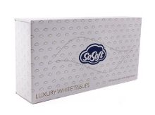 Facial Tissues (So Soft) 100 Tissues 2 Ply x 1 Box