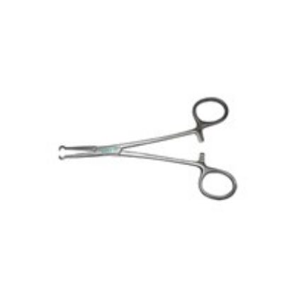 Forceps Vasectomy Disp Straight 15cm x 1