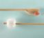 Bardex Foley Catheter 14Ch Male x 1