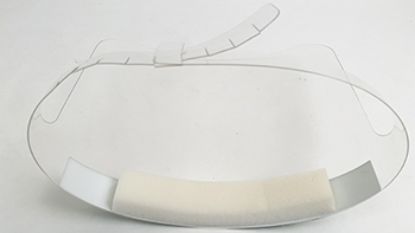 Face Visor /  Shield 