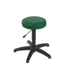 Stool Examination (Sunflower) Glider Base Green