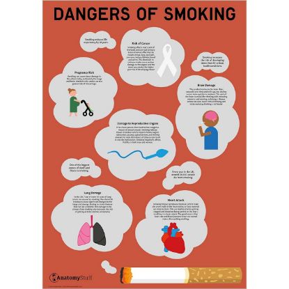 Anatomical Smoking Dangers Chart